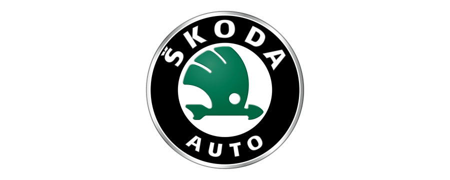 Skoda Praktik (2003-2015)